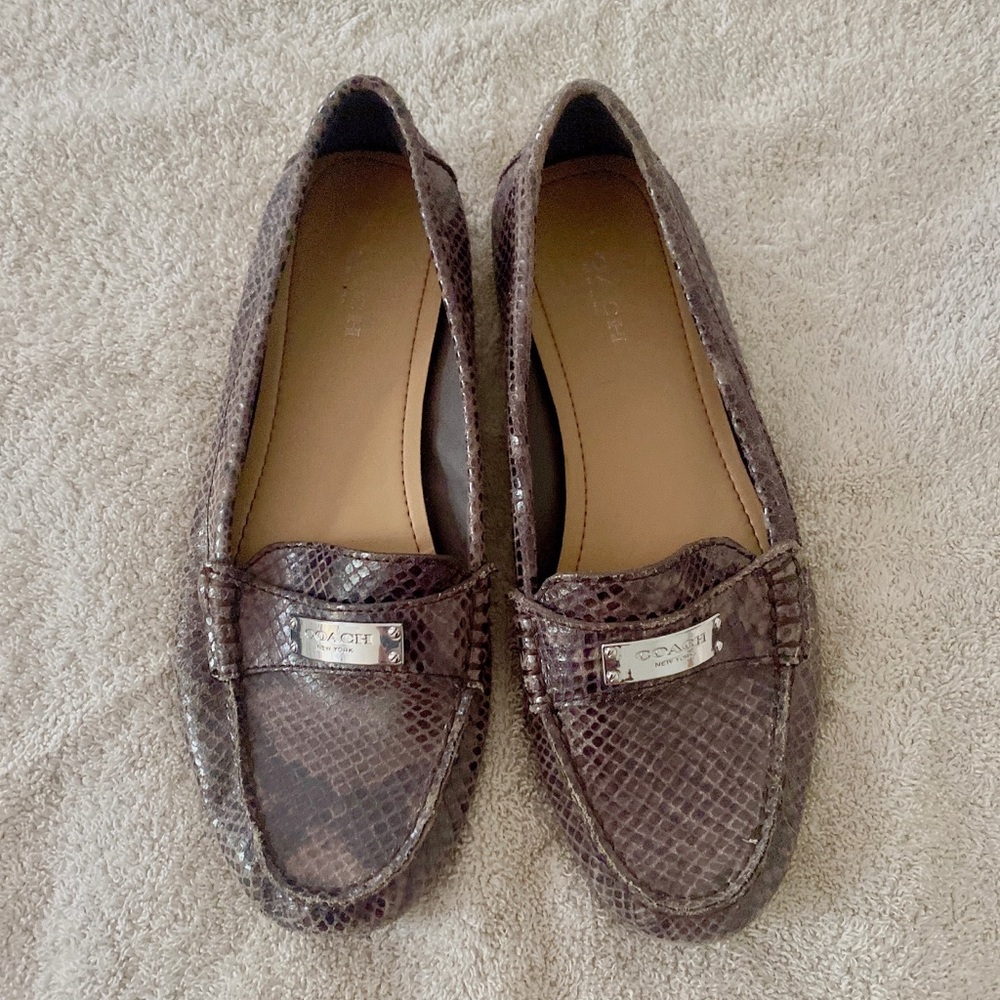 Coach Snake Skin Patterned Loafers